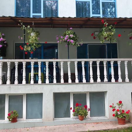 Hotel Casa Albastra Drumu Carului Exterior foto